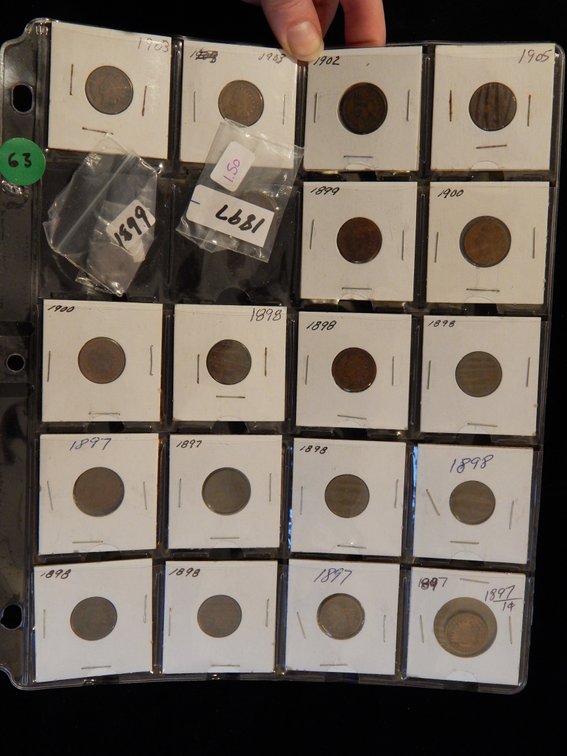 Dealer's Overstock 20 Indian Head Cents
