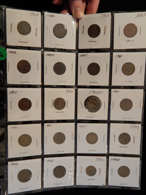Dealer's Overstock 20 Indian Head Cents