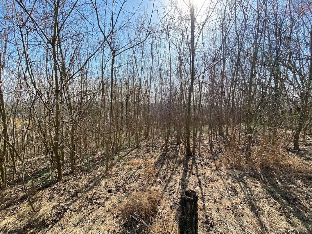 Image for ABSOLUTE ONLINE REAL ESTATE AUCTION