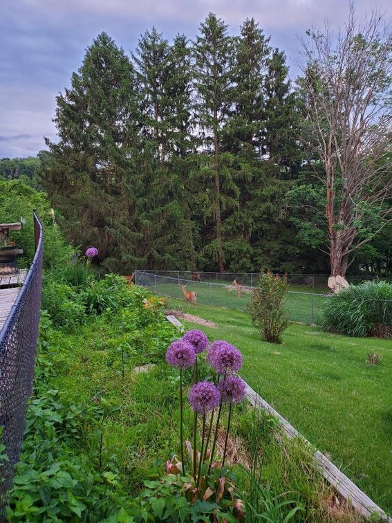 Image for Real Estate Auction ONLINE