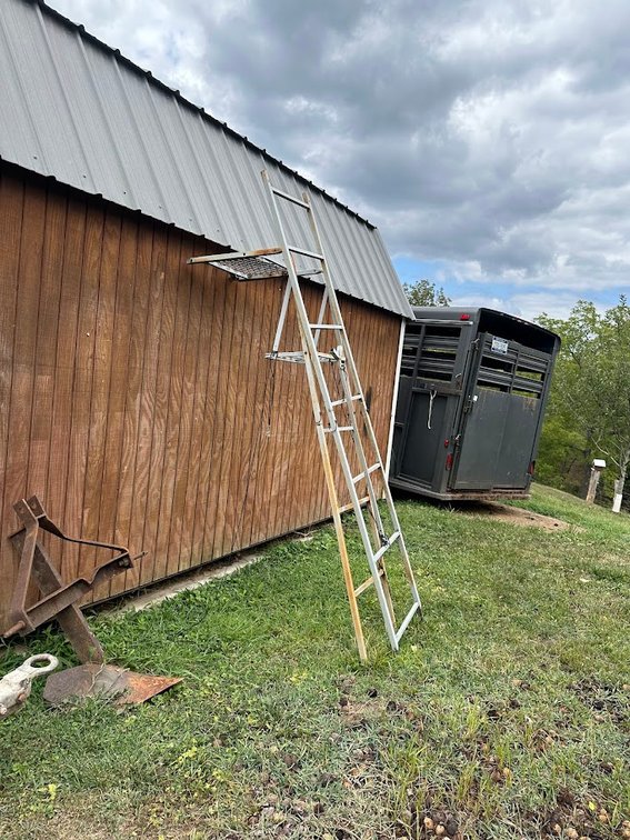 Image for Farm Auction
