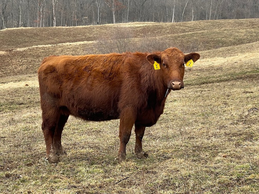 Lot 20