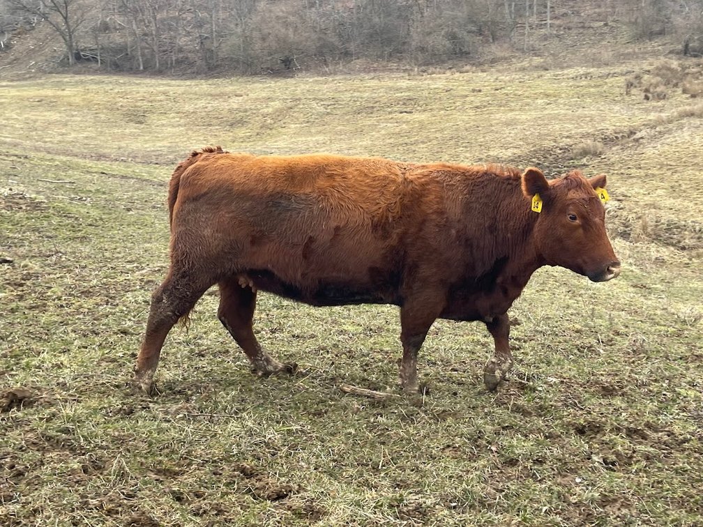 Lot 30