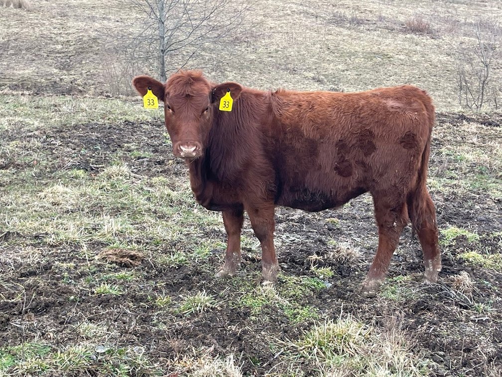 Lot 5