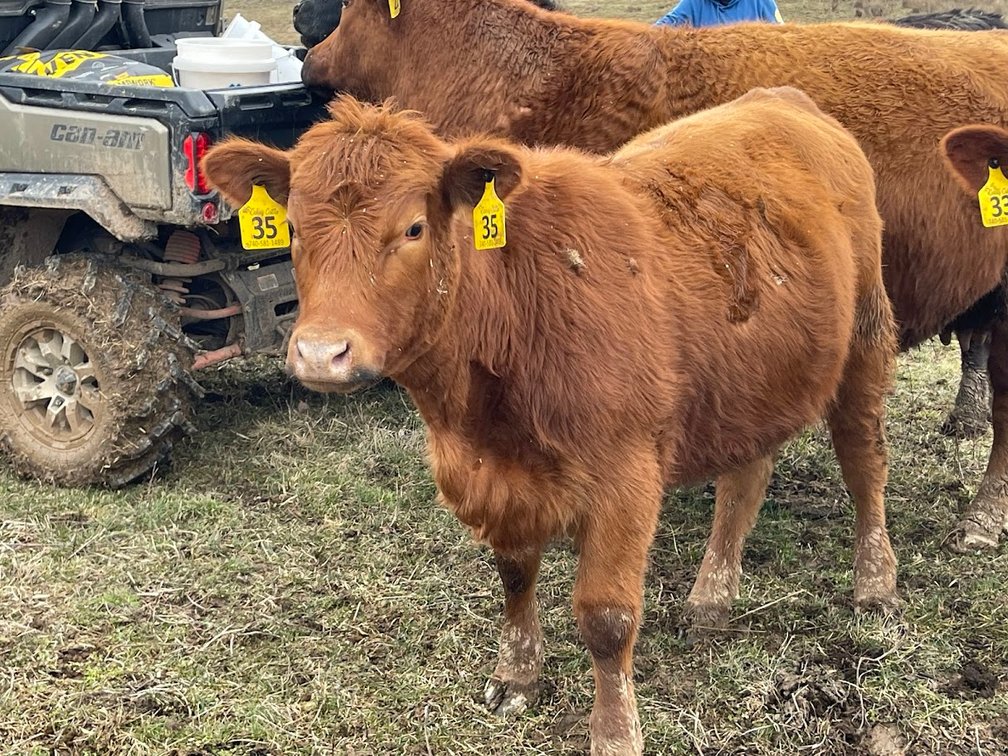Lot 10