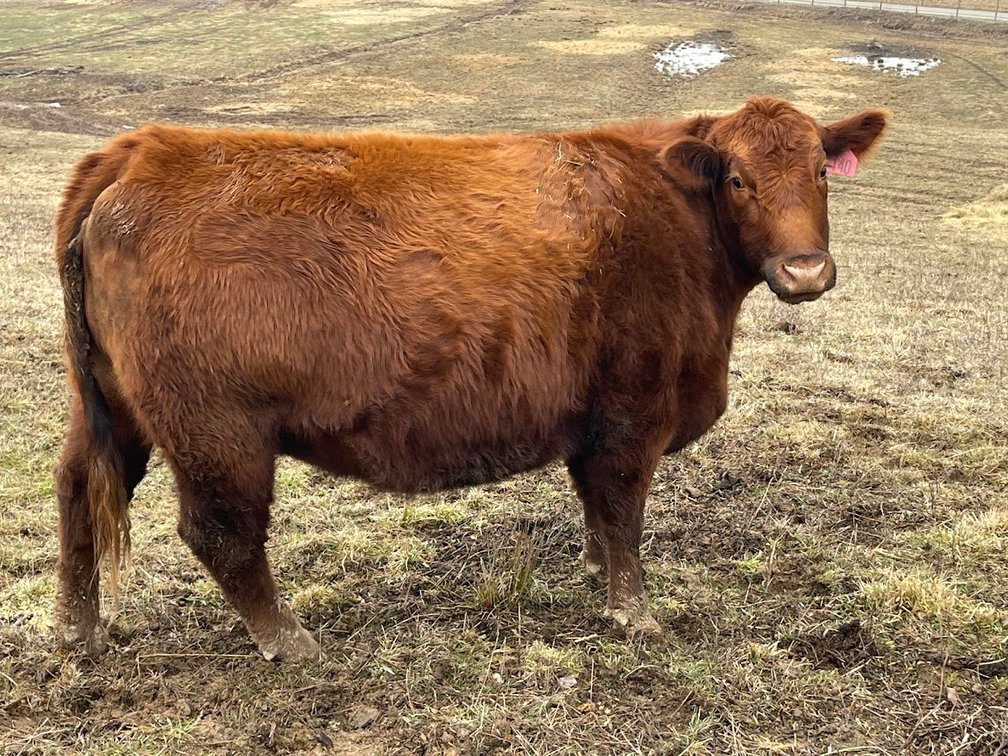 Lot 27