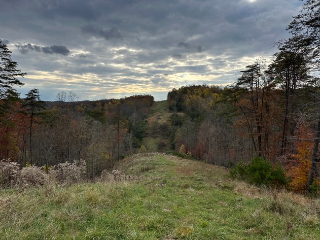 Image for Multi-Real Estate Auction #4