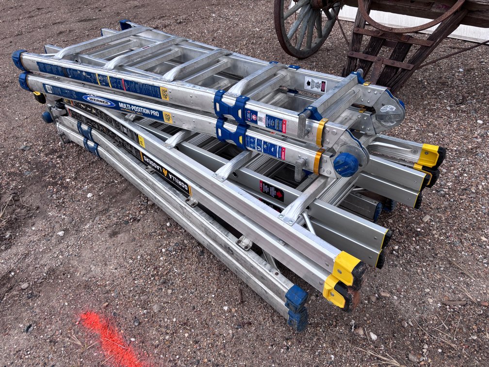 (3) EXTENDABLE LADDERS