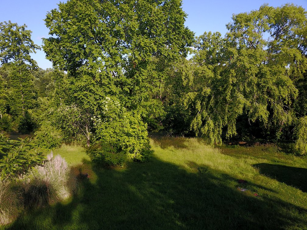 Image for Hidden River Trail Land Auction