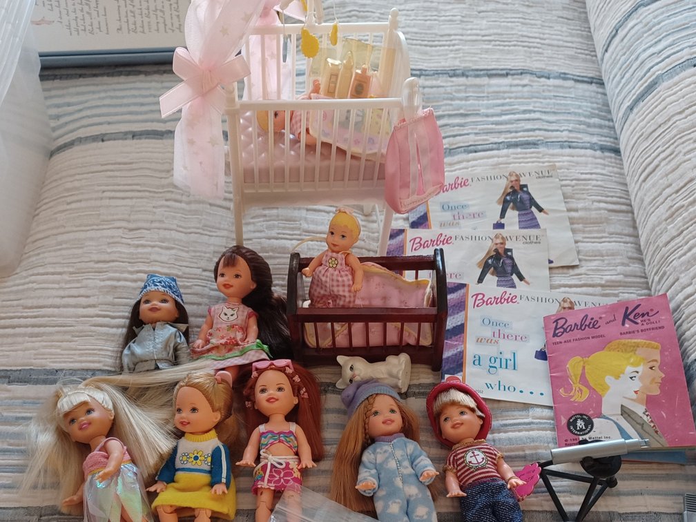 Barbie Little Sister Dolls & Accessories