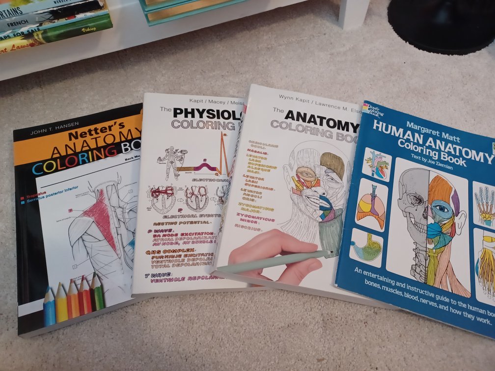 Anatomy Coloring Books