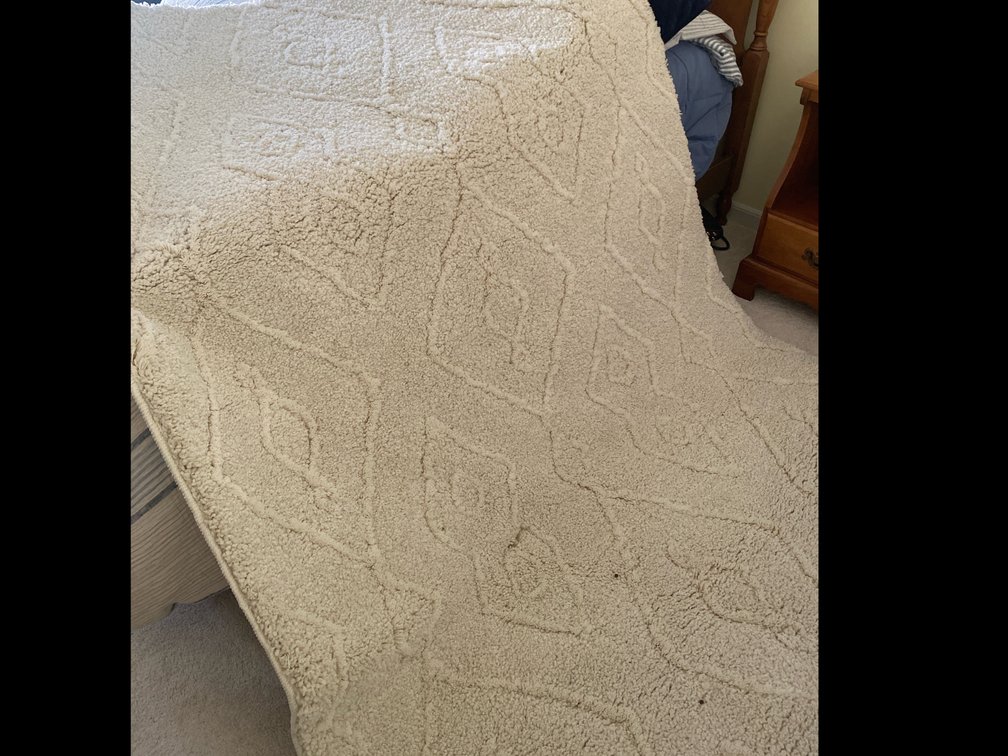 Area Rug
