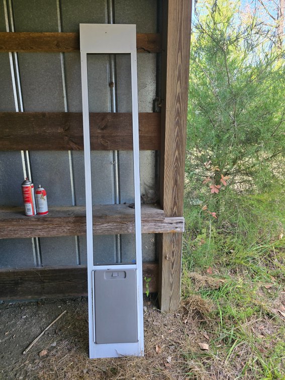 Pet Safe doggie door