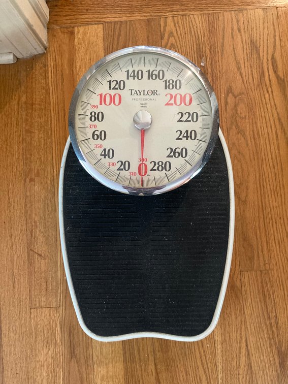 Taylor Professional Scale