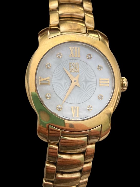 ESQ Swizz Quartz Gold Tone SS Watch w/Box - needs battery