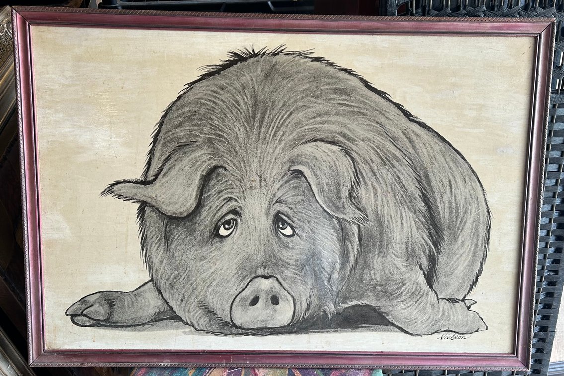 Large Print of Pig by Nielson - 35x24