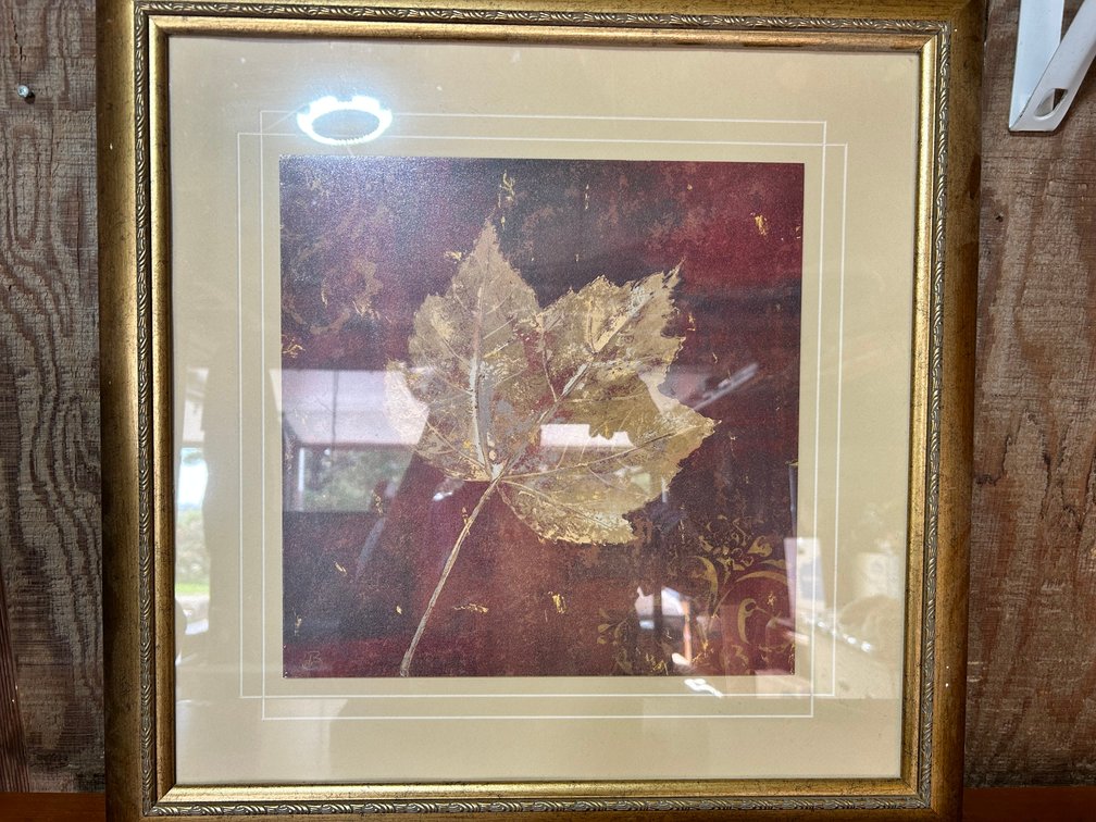 Framed Leaf Print 20x20