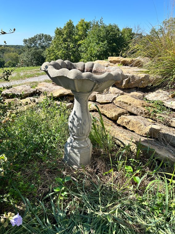 2 Piece Concrete Bird Bath