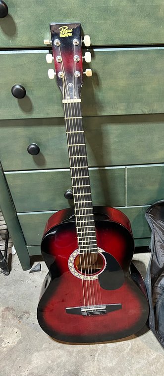 Rogue Guitar