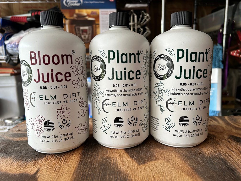 Bloom Juice - Elm Dirt