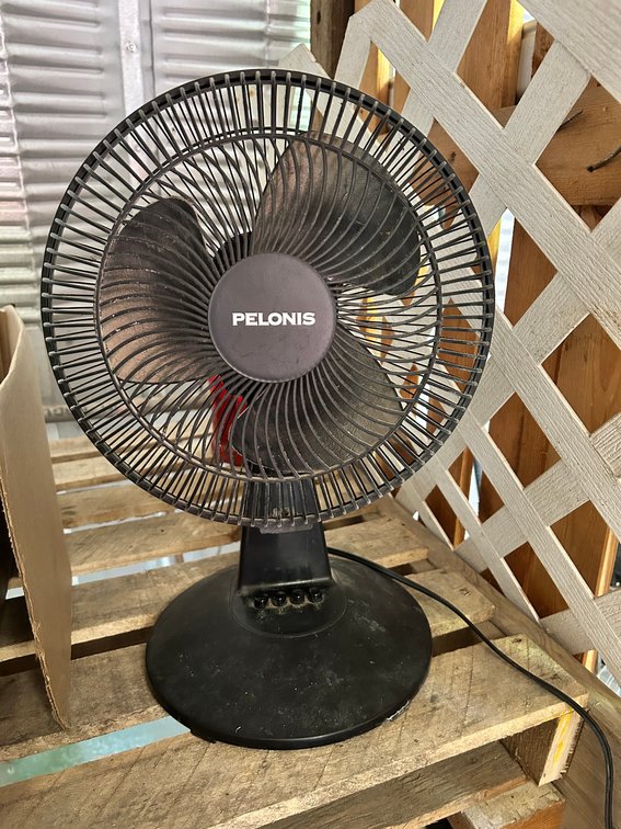 Pelonis Tabletop Oscillating Fan