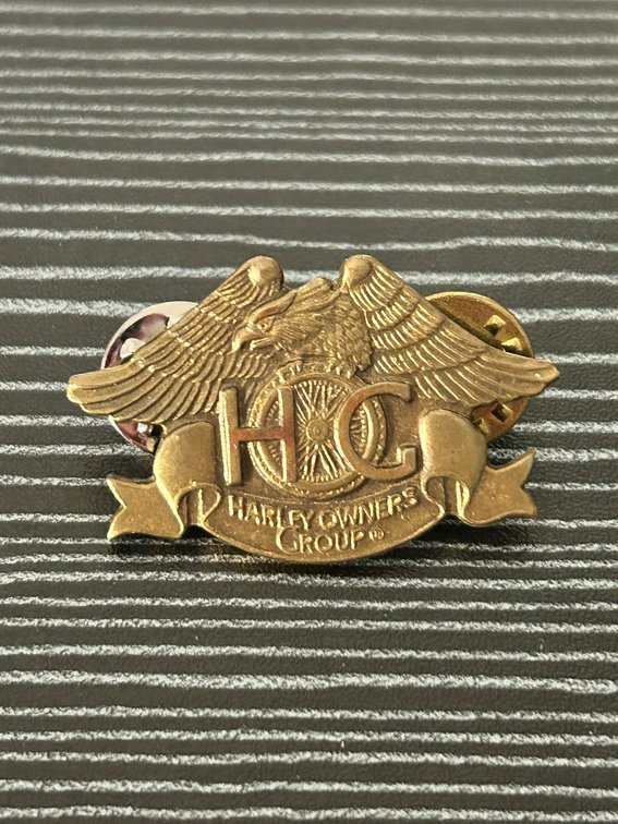 Gold Tone Harley Owners Group Pin