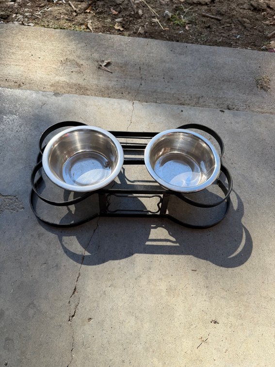 Raised Dog Bowls