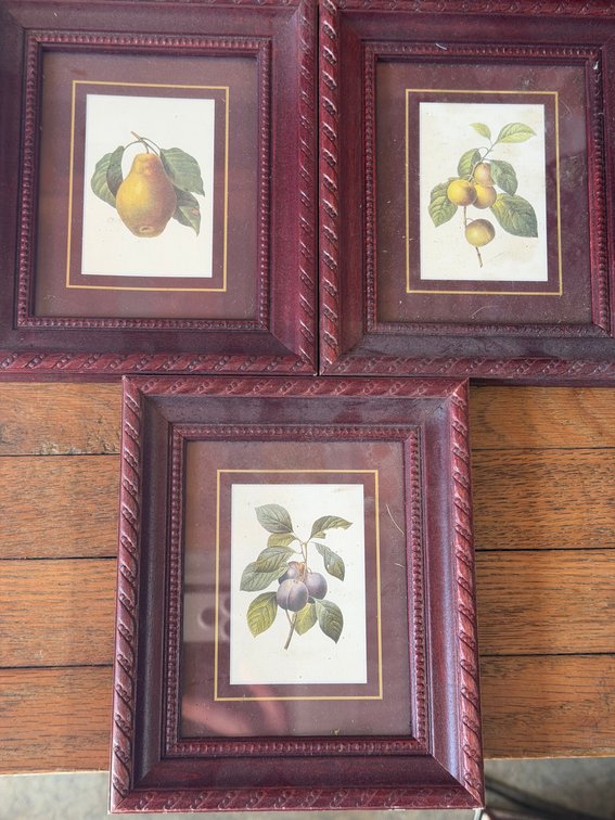 3 Framed Botanical (fruit) Pictures