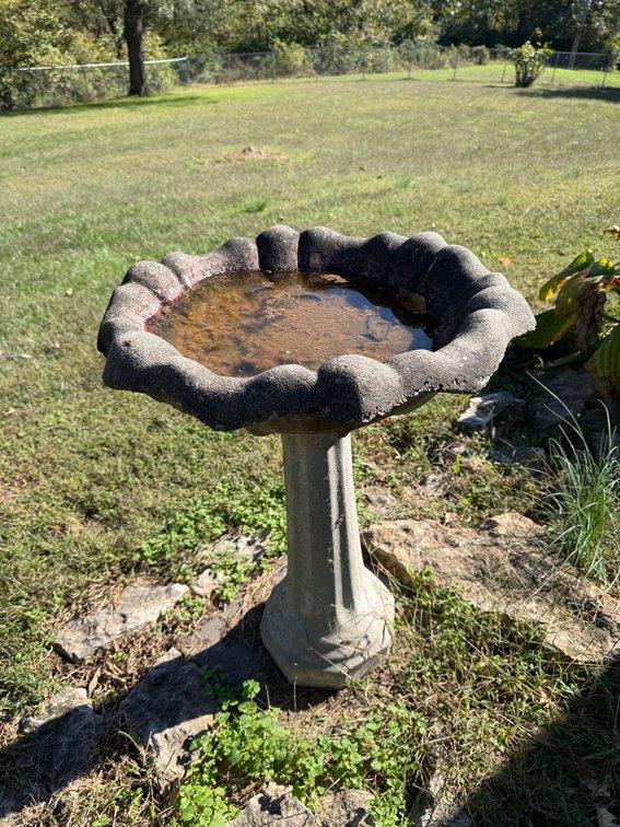 Birdbath with hanging plant hook (see all photos)