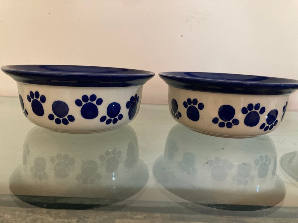 2 Small Stoneware Dog Bowls & Stainless Steel Water Bowl, 6"