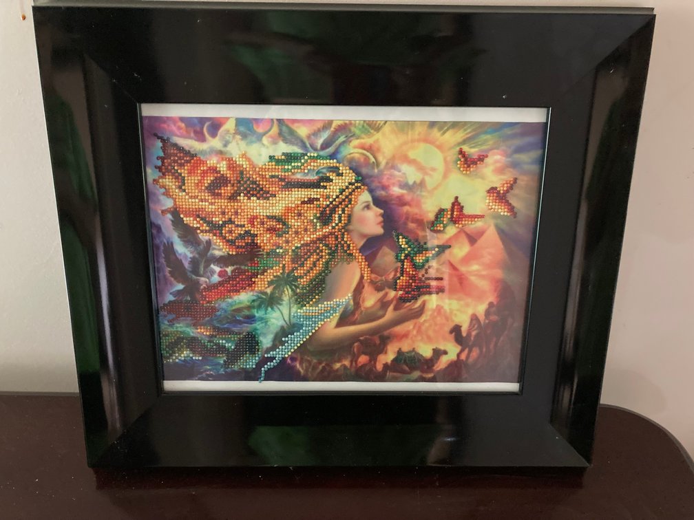Framed Diamond Art Club Artwork, "Freedom"