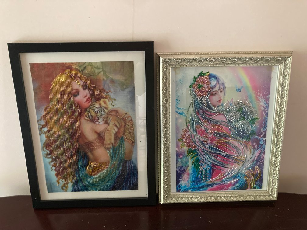 Framed Diamond Art Club Artwork, Beauty & Tiger and Fairy Girl