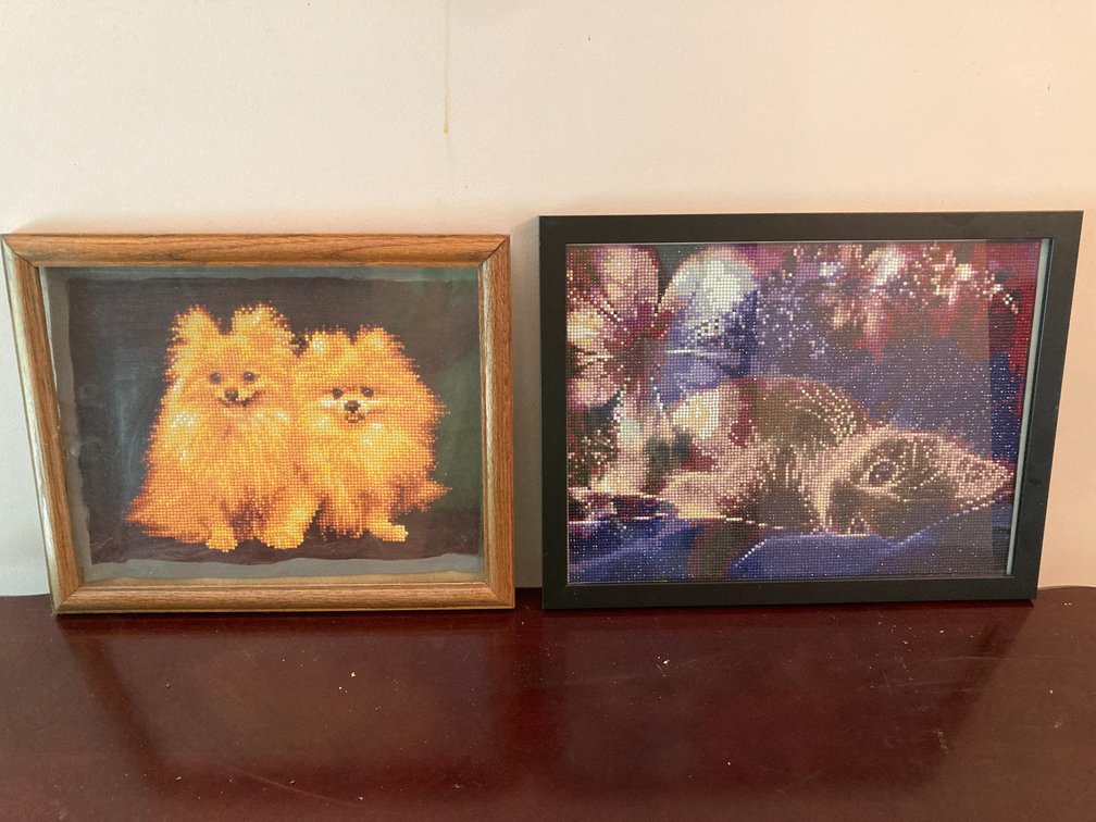 Framed Diamond Art Club Artwork, Dog & Cat
