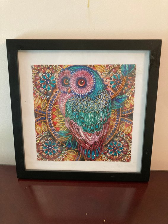 Framed Diamond Art Club Artwork, Owl, 13"x13"