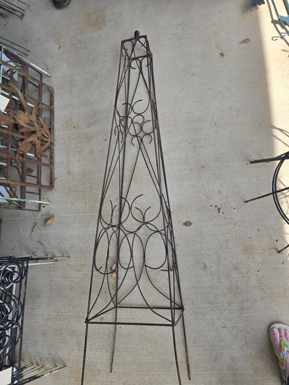 65 " iron tall trellis for climbing vines