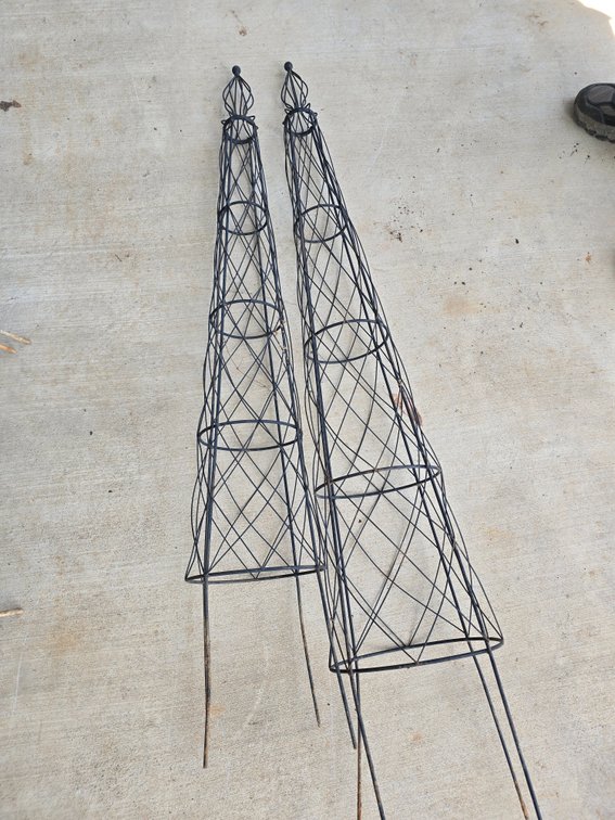 Two climbing trellis