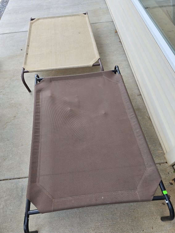 Two large dog beds, new!