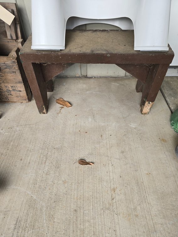 Small wooden primitive bench and plastic stool