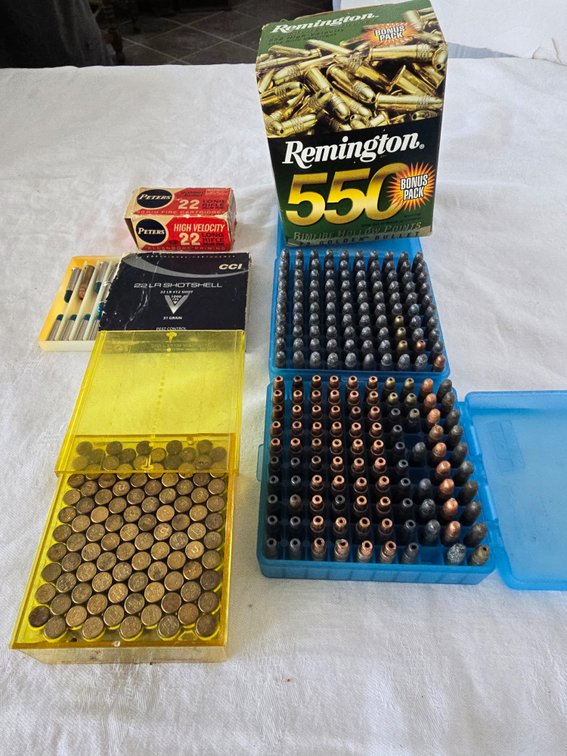 22 ammo,