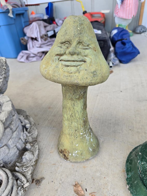 Funny face mushroom concrete