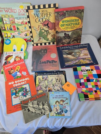 Image for 13 children's story books classics