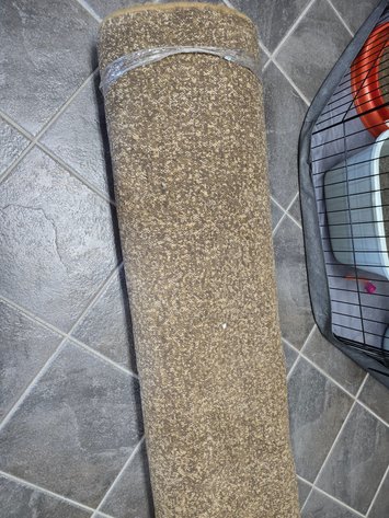 Image for Beige and brown carpet, 10x8?