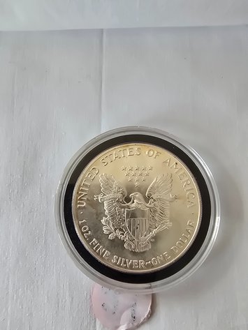 Image for Nineteen eighty six american eagle uncirculated