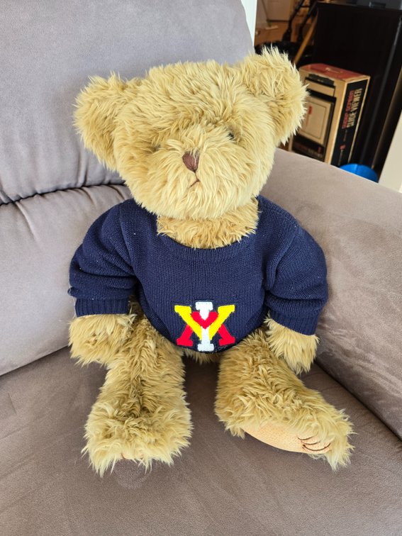 VMI BEAR