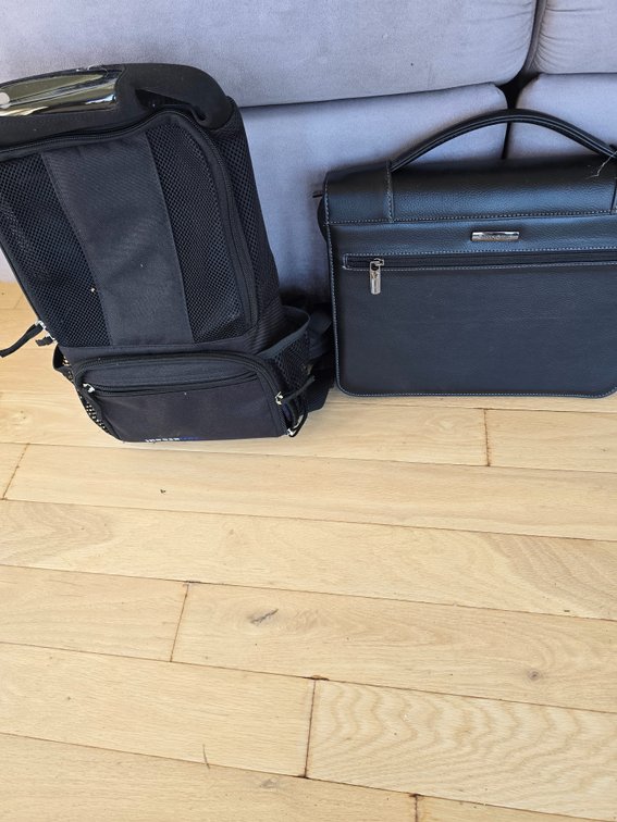 Briefcase and oxygen tank holder