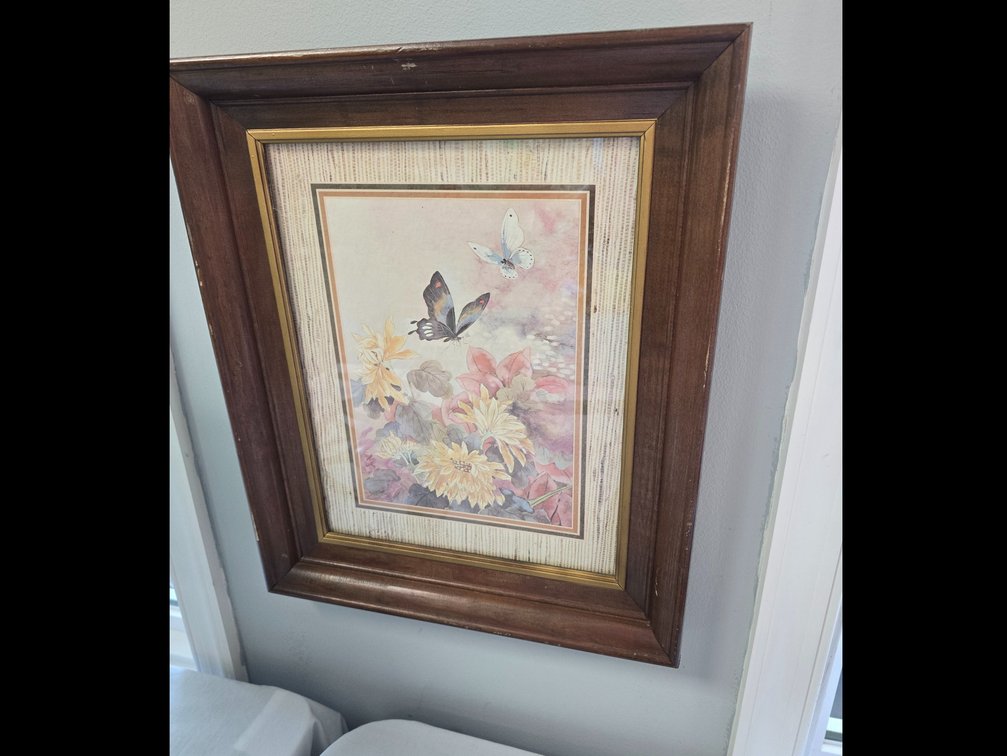 Butterfly print