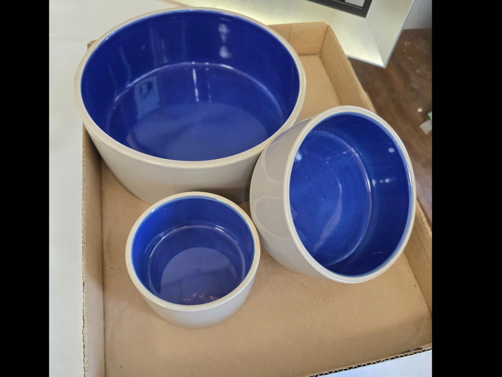 New pet pottery 