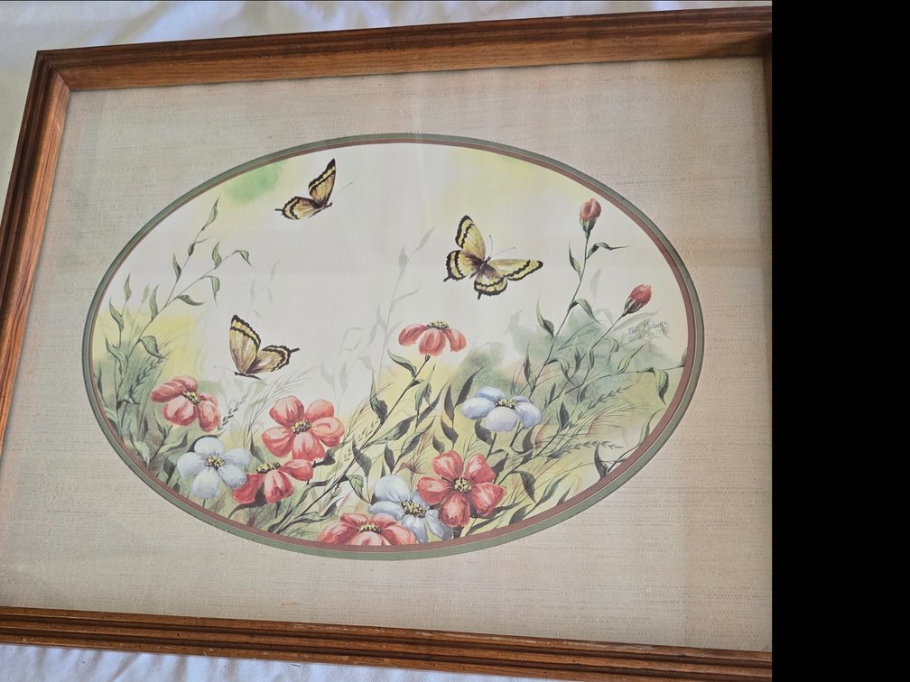 Botonical print framed and matted in a shadow box frame
