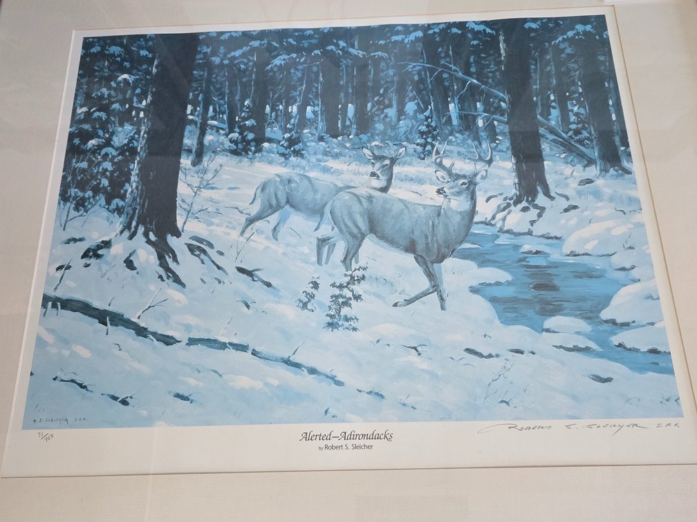 Framed and numbered print Adirondacks
