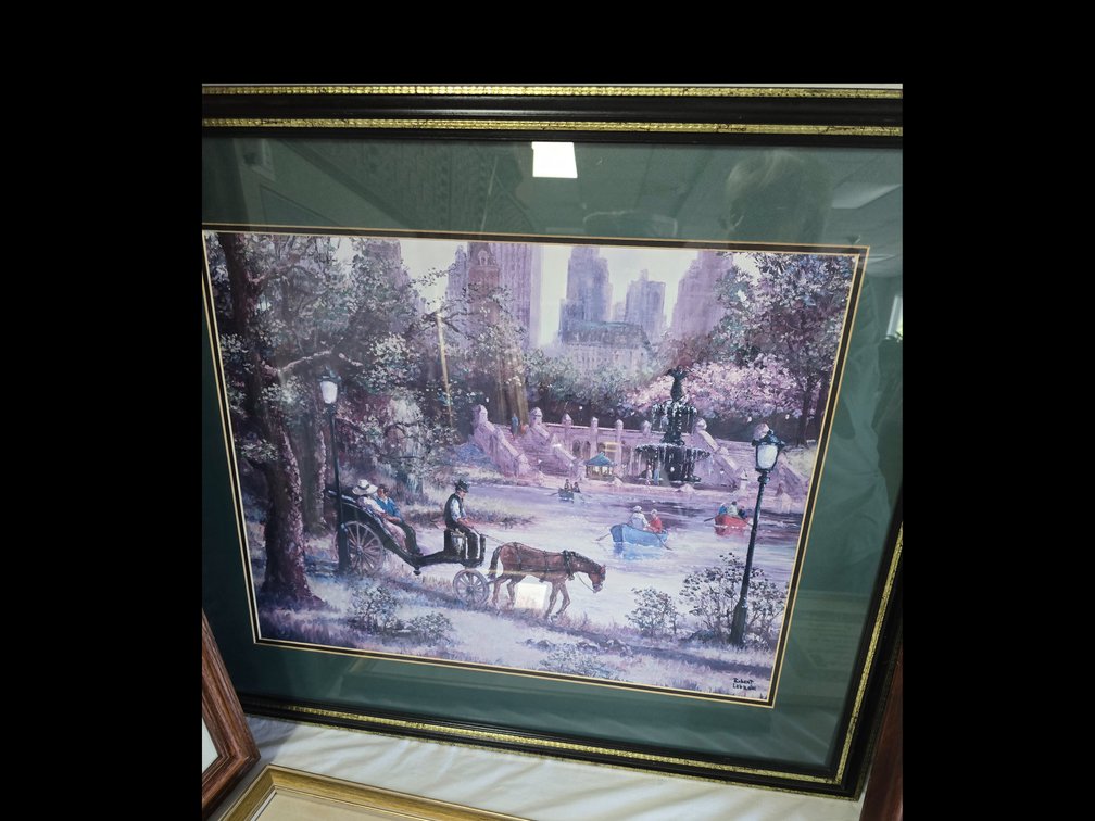 Central park print